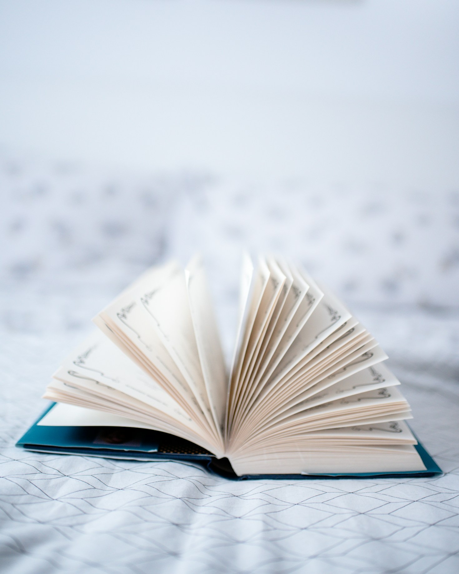 The Journey of a Book: From Manuscript to Shelf